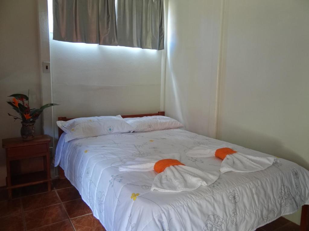 Pousada Chao De Pedra Bonito  Kamer foto